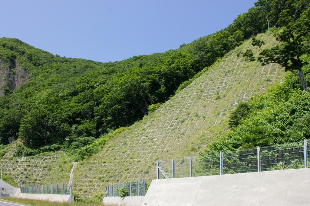 自然との共生
